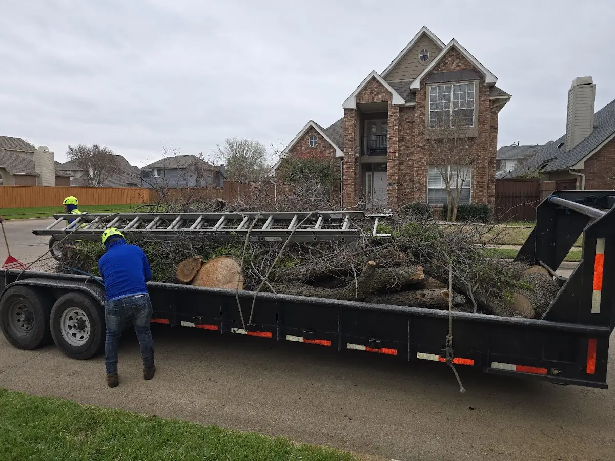 Expert Tree Pest Control with proper safety equipment in Crowder